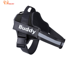 Personalized Dog Harness NO PULL Reflective Breathable Adjustable Pet Harness